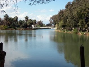 Hatay Galeri