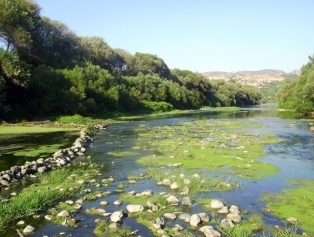 Hatay Galeri