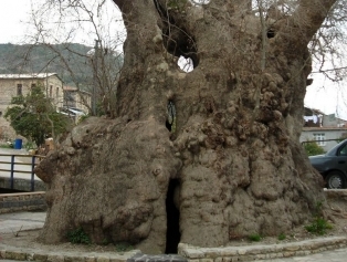 Hatay Galeri