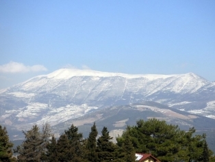 Hatay Galeri