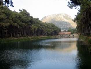 Hatay Galeri